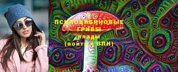 молекула духа Горно-Алтайск