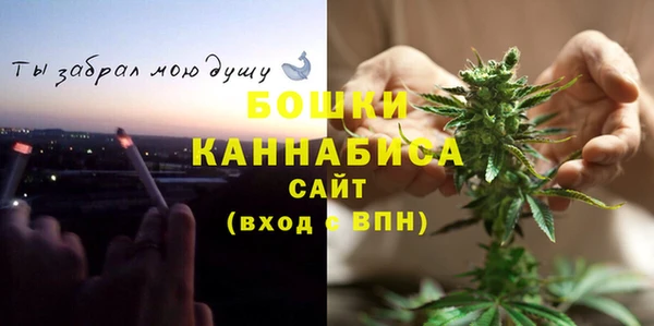 молекула духа Горно-Алтайск